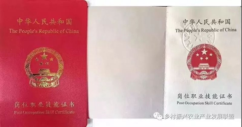 职业技能鉴定的新趋势与未来展望