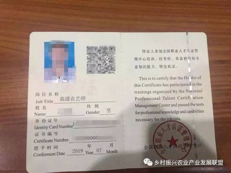 职业技能鉴定行业新动态：让技能成就未来
